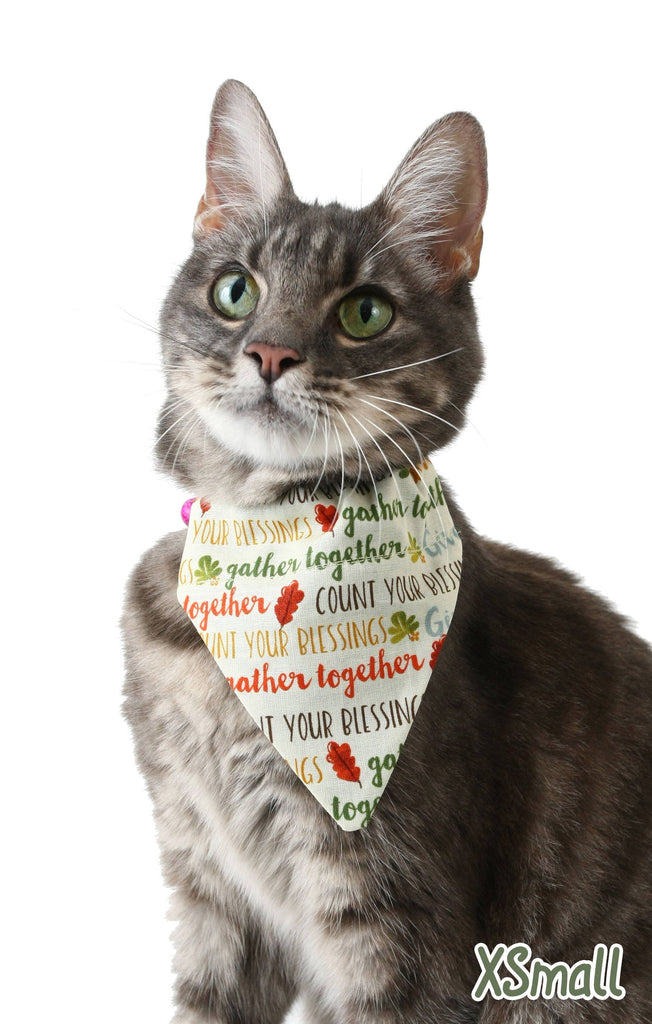 Pet Bandana - Thankful Words - Thanksgiving - Pet Scarf - Collar Cover