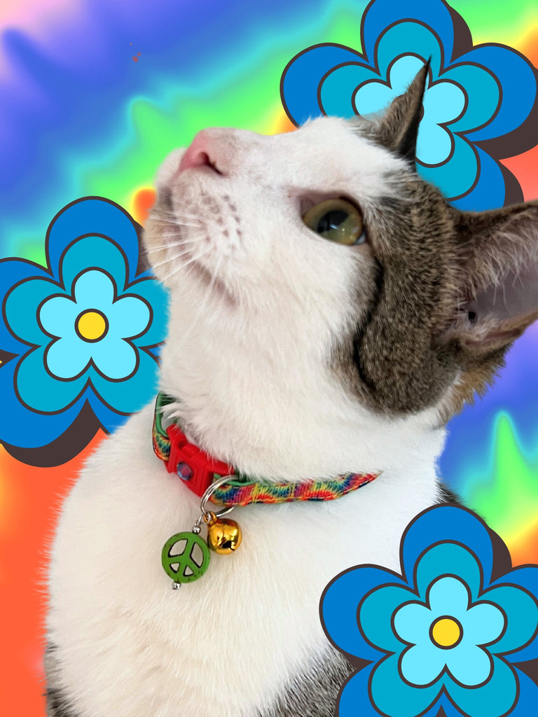 Tie Dye Cat Collar - Warm Rainbow Tie Dye - Kitten or Large Size B30D217