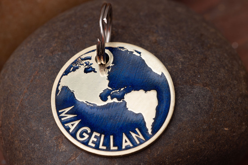 Deep Engraved Earth Pet ID Tag Personalized for your Cat or Dog