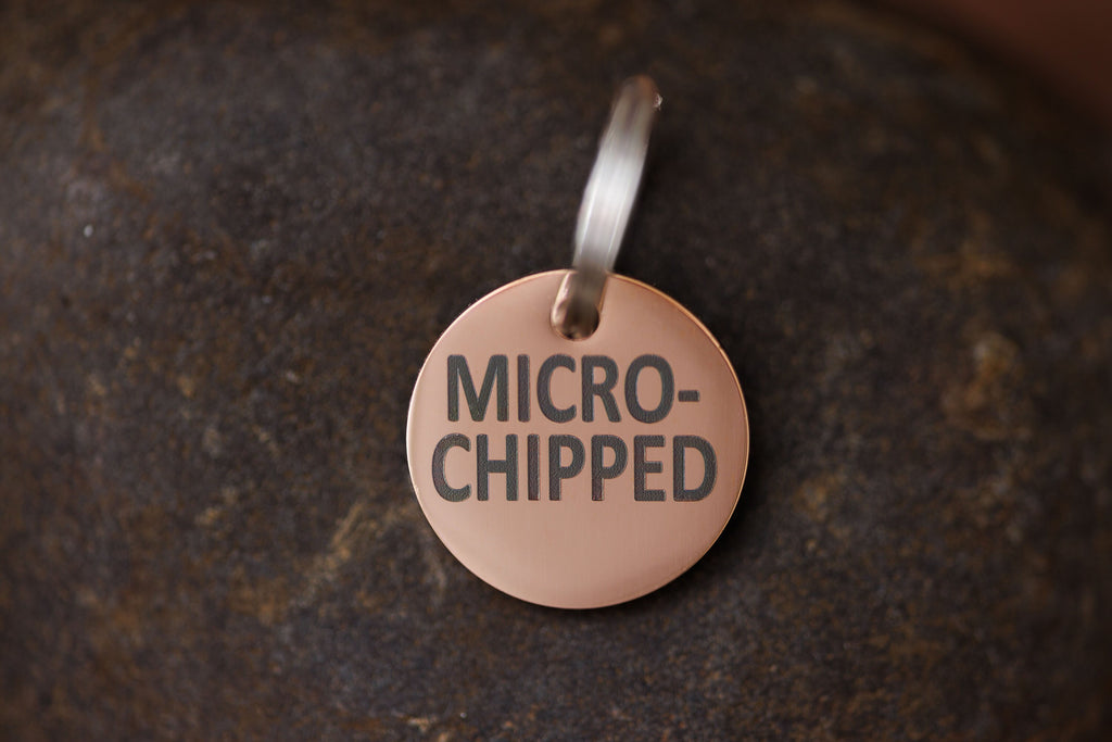 Stainless Steel "MICROCHIPPED" and "I'm Chipped" tags (not customizable) Gold, silver and Copper Colors