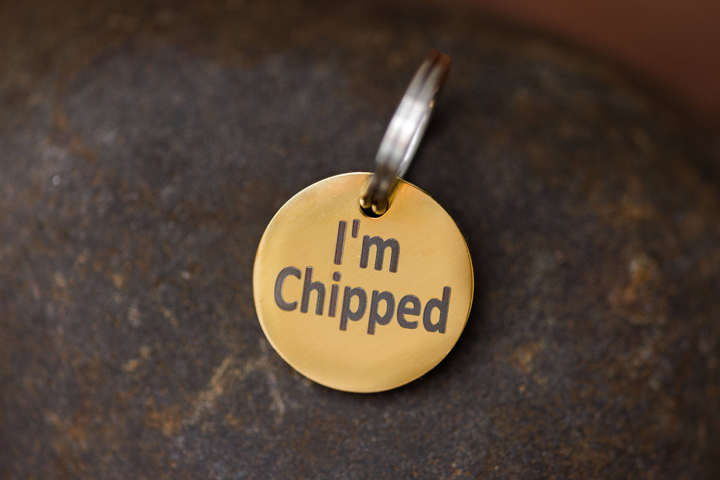 Stainless Steel "MICROCHIPPED" and "I'm Chipped" tags (not customizable) Gold, silver and Copper Colors